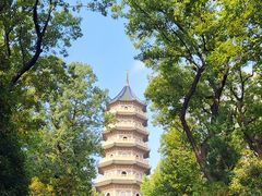 -灵谷景区