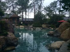 android_upload_pic-唐风温泉