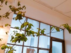 -Kekimatata 生日蛋糕·烘焙教学