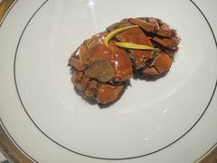 -颂福楼·南京菜(定淮门店)