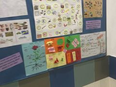 -上海市世外小学