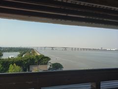 -大湾区中央湿地公园
