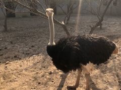 -洛阳马蹄泉旅游度假村