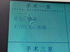 -北京观赏动物医院·24小时大型综合·猫专科·异宠专科