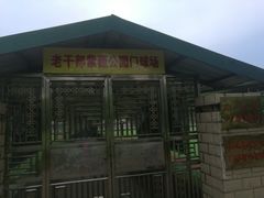 -紫薇公园