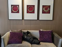 -昆明中心皇冠假日酒店