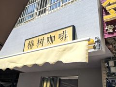 -椿树咖啡