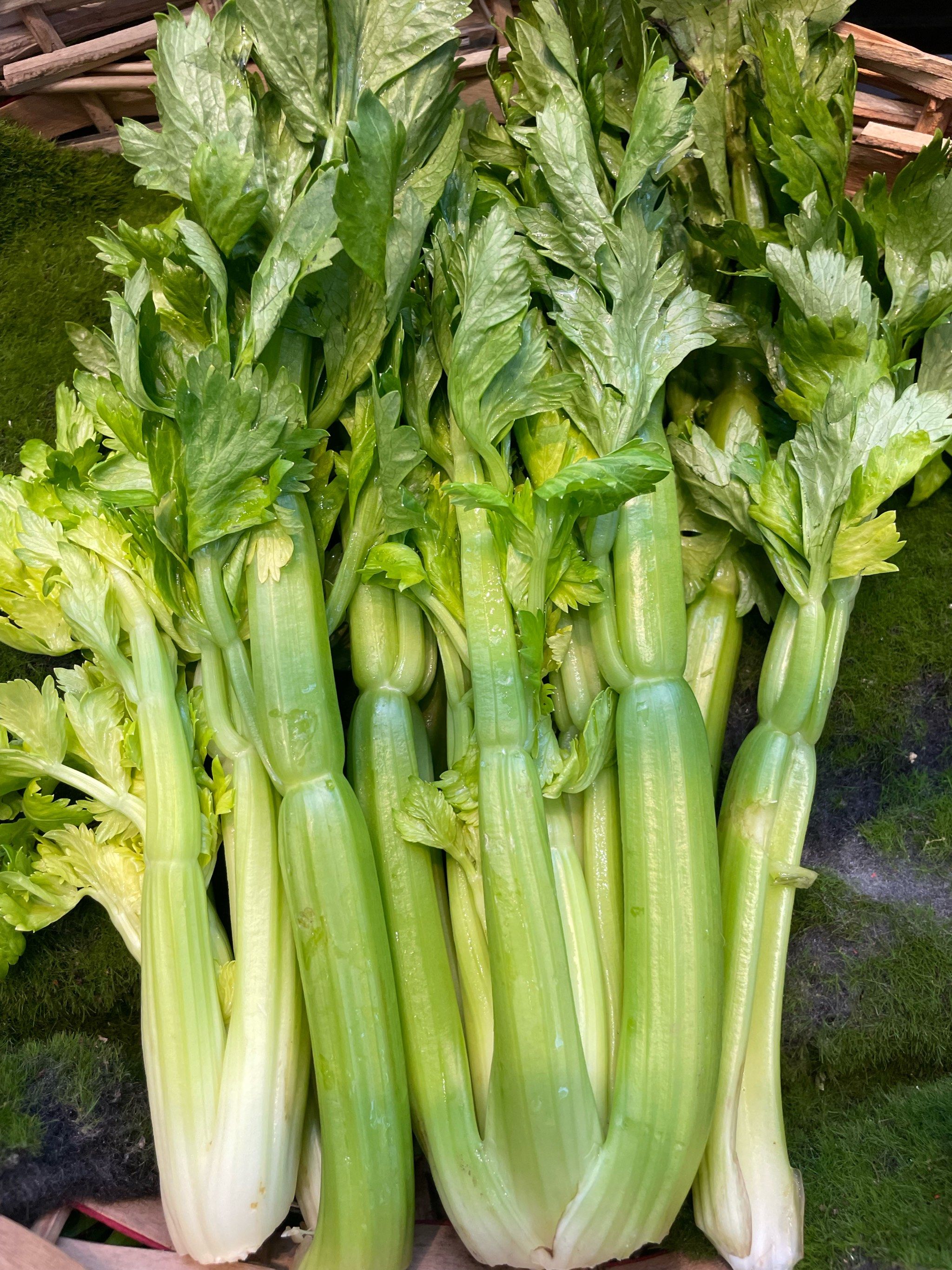 每日蔬食,饭店里的蔬菜展示