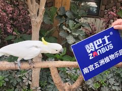 -南宫五洲植物乐园