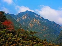 -祁门牯牛降观音堂风景区