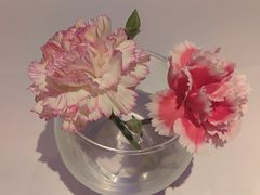 -眉州东坡(清华园店)