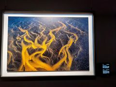 -罗红摄影艺术馆