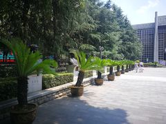 -南昌八一起义纪念馆