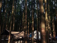 -山王坪喀斯特国家生态公园