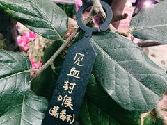 -正佳雨林生态植物园