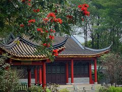 -顺峰山公园
