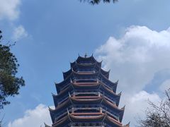 -铁山坪森林公园