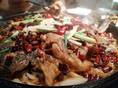 -老板恋上鱼(印象城店)