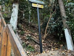 -云碧峰国家森林公园