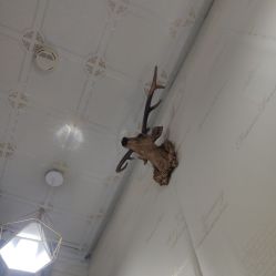-简艺美甲美睫