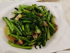 龙芽苔-荔城生鲜盛宴(番禺旗舰店)