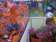 -循礼门鲜花花市(武汉循礼门店)