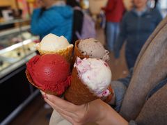 -Patagonia Chocolates(皇后镇店)