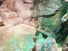 -zoonana室内动物园(东方福来德店)