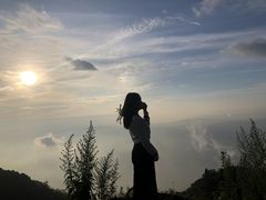 -武陵山森林公园