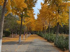 -东升八家郊野公园
