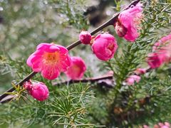-白塘生态植物园