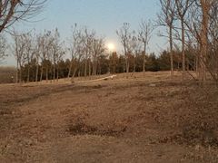 -马家湾湿地公园