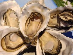 -千岛蚝高压锅生蚝·人参火锅(白云万达店)