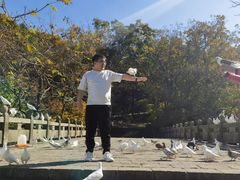 -丹东凤凰山景区