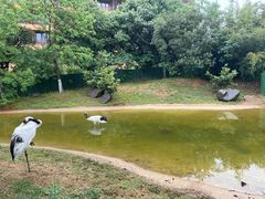 -长兴太湖图影湿地文化园