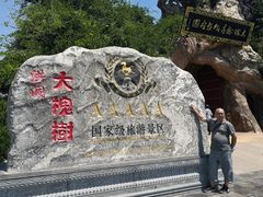 -大槐树寻根祭祖园