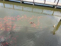 -前关湿地公园