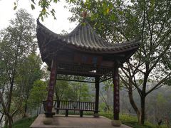-重庆彩云湖湿地公园