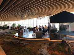 -Seesaw Coffee(朝阳大悦城店)