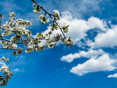 -春晖园度假酒店温泉