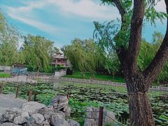 景点-陶然亭公园