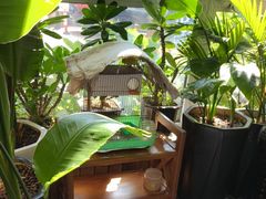 -草原塞蛮羊火锅城(港湾店)