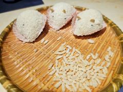 鬼鼠糯米糍-点都德·毕德寮