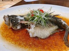 鲜花椒蒸鱼-猪肉婆私房菜(容桂总店)