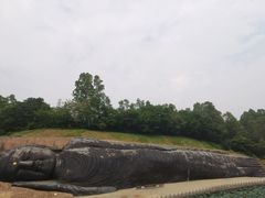 -三水森林公园