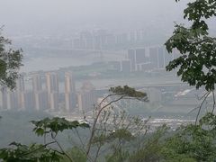 -旗山国家森林公园