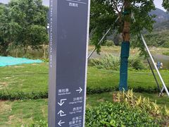 -西涌国际滨海旅游区