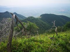 -小五台金河景区