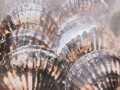 -百富源·海鲜辽菜(和平北大街店)