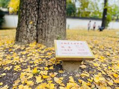 -安亭老街